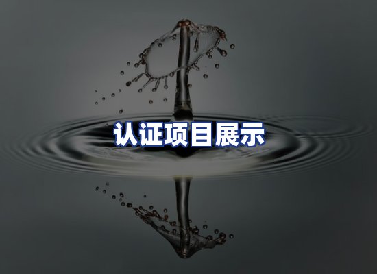 认证项目展示